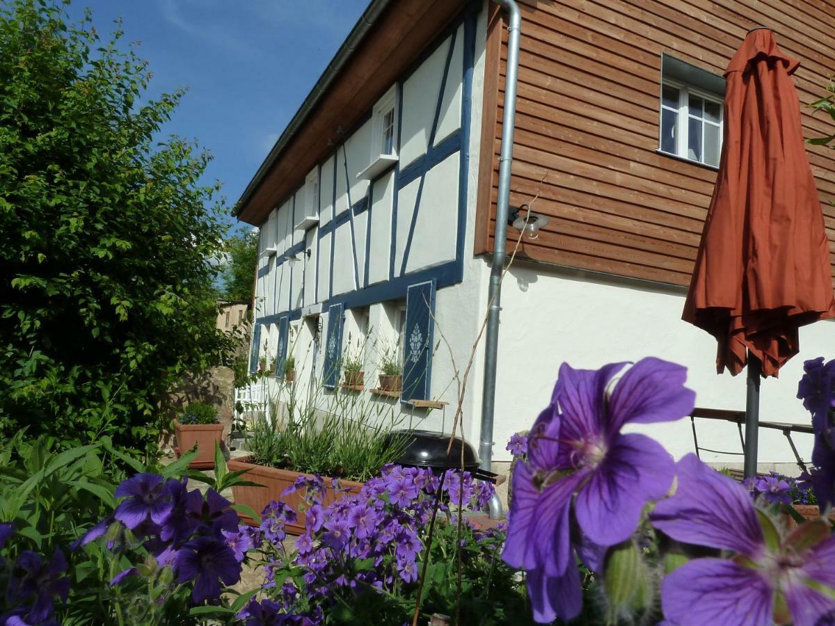 Goldbachhaeuschen Villa Olbersdorf Eksteriør bilde